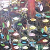 Standing Centered, details