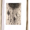Seed series portfolio