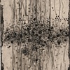 Root (Connection)