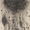 Root