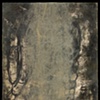 FN: imago