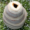 Free Form Vase