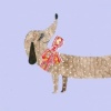 Dachshund (1 & 2)