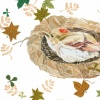 Ruby Kinglet