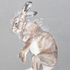 Snowshoe Hare