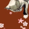 Olive In The Spring