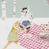Kitty Picnic