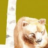 Like A Bear Knitting