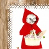 Little Red Birdie