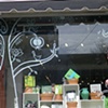 Window painting 
Good egg
