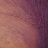 detail-release