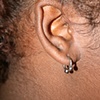 Horseshoe