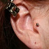 Tragus