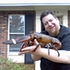 Steve Vs. Lobstrocity