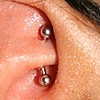 Rook