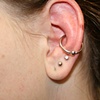 Conch