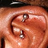 Rook