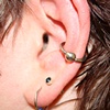 Conch