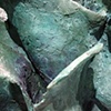 Chrysalis (detail)
