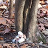 500 Gifts (detail)