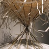 Bliss (detail)