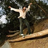 tree sliding