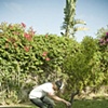 micah footplanting