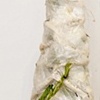 J.D. Grass
