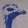 Ostrich - At Attention