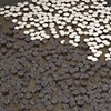 Wyoning, 1954 (detail)