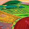 Digital Imagery, 1993-1997