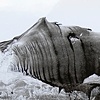 Snow Flank

copyright Othmar Tobisch