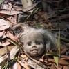 Doll In The Woods 1, Portugal