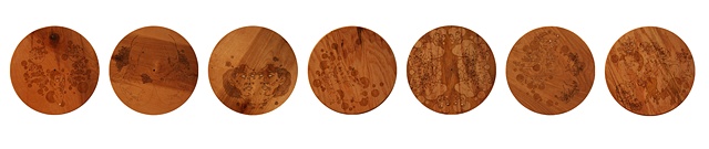 Drawing Wood