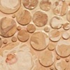 Flesh Parade - detail