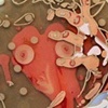 Circle Begot Circle - detail
