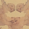 Tested and True - detail