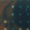 The Process of Elimination - detail