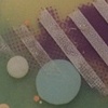 The Process of Elimination - detail