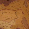 Blond Haze - detail