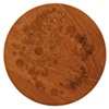Drawing Wood - detail