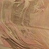 Flesh Parade - detail