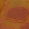Purple Haze - detail