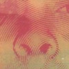 Pink Is My Favorite Color - detail