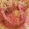 Landscape Delusion - detail
