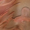 Framed Delusion - detail