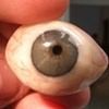 Painting an Ocular Prosthesis