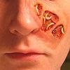 Maggots