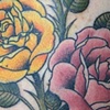 Roses