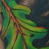 Leaves
cover-up